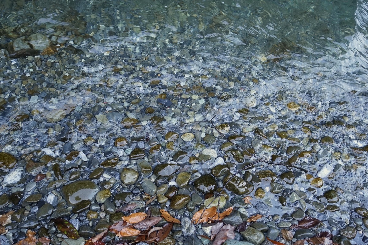 _DSC06035