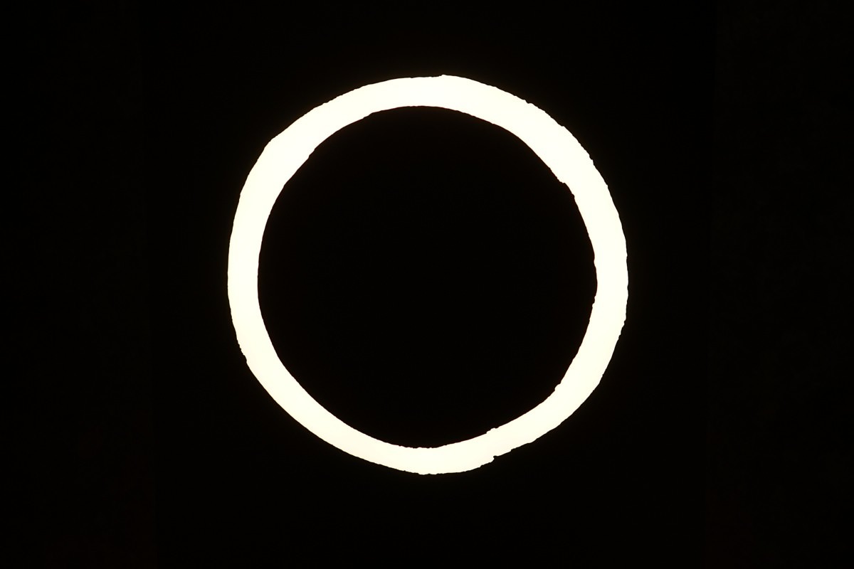_DSC06615