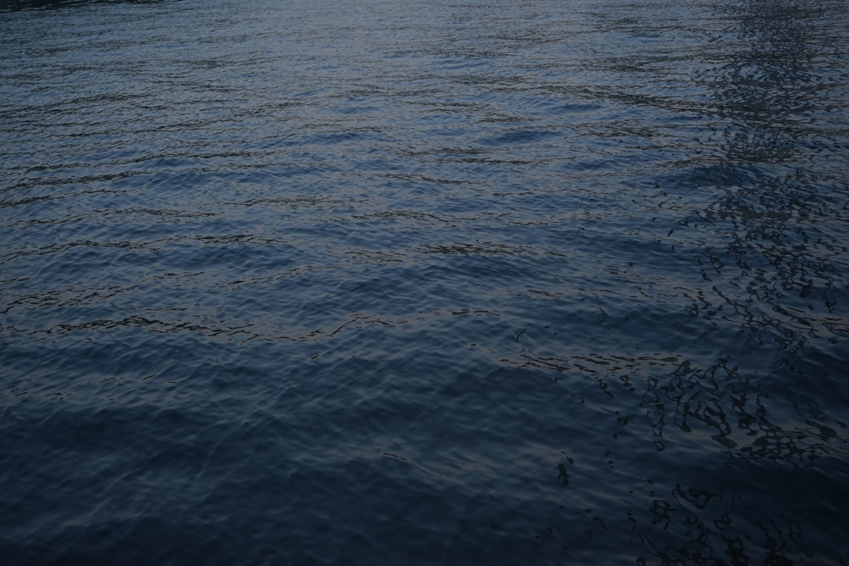 _DSC07297