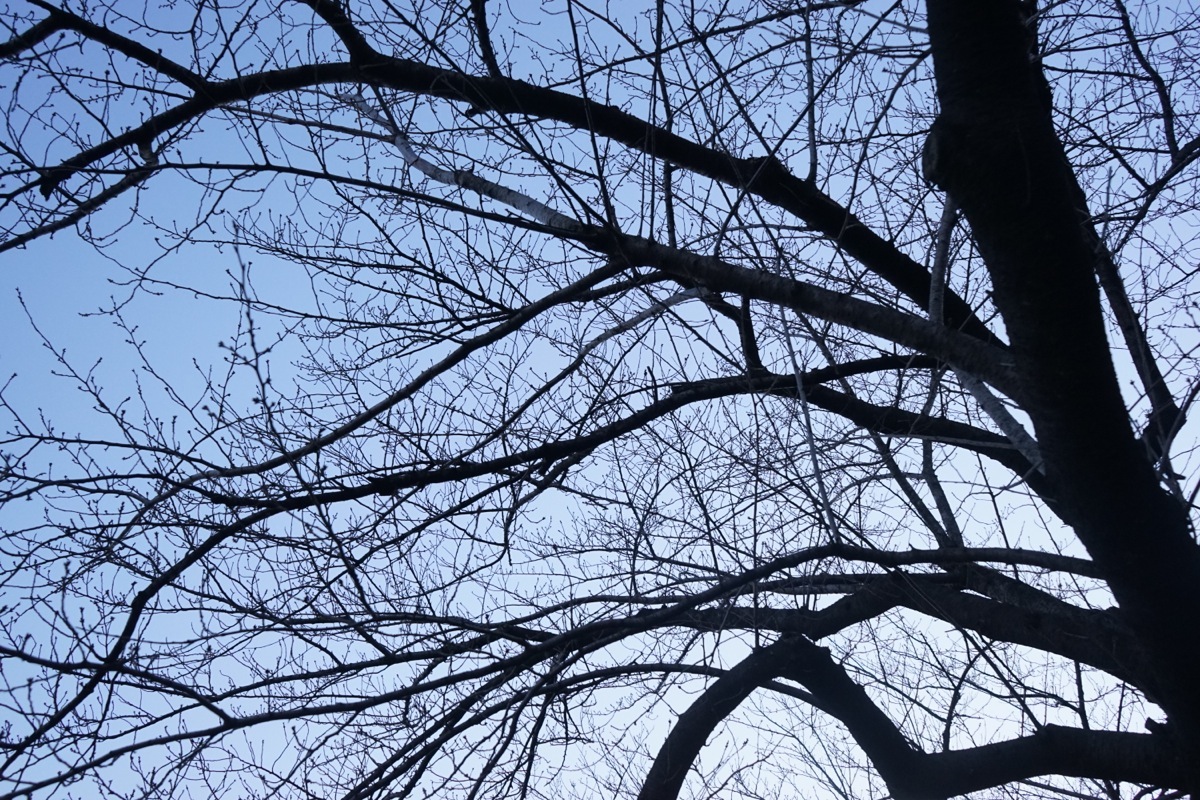 _DSC07307