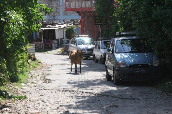 th_IMG_0533-t.jpg