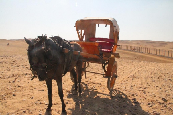 ギザ　ルクソール　エジプト